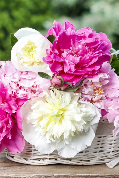 Prachtige pioenrozen in witte rieten mand op rustieke houten tabel i — Stockfoto