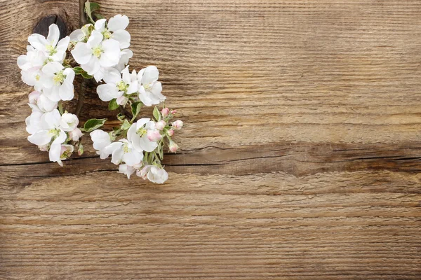 Flowering twig of apple tree on wooden background. Copy space — Stock Photo, Image