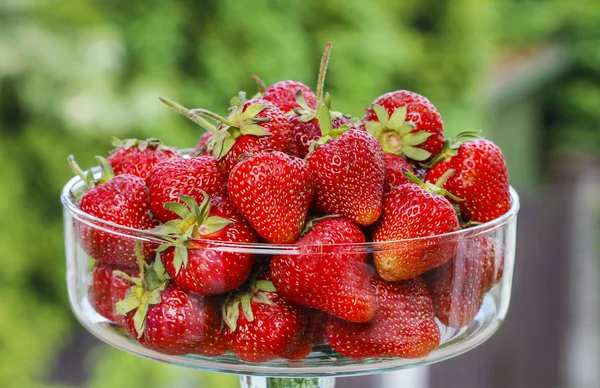 Frische reife Erdbeeren in Glasschale — Stockfoto