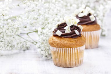 Chocolate cupcakes for wedding party. Baby's breath flower in th clipart