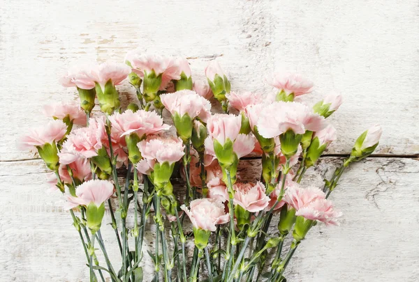 Flores de clavel rosa sobre fondo blanco rústico de madera . — Foto de Stock