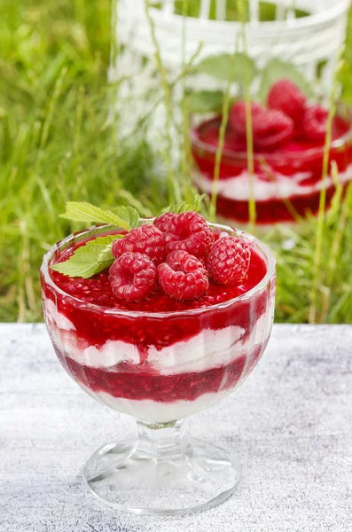 Layer raspberry dessert on garden party table. Lush grass in the — Stock Photo, Image