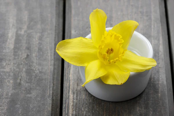 Sola flor de narciso en maceta de cerámica blanca sobre mesa de madera —  Fotos de Stock