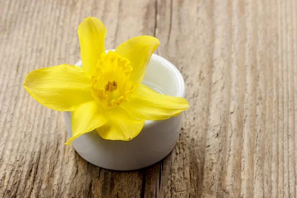 Sola flor de narciso en maceta de cerámica blanca sobre mesa de madera —  Fotos de Stock