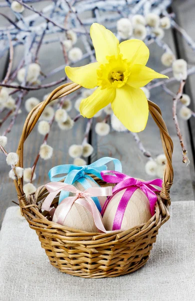 Korb mit Ostereiern dekoriert mit gelben Narzissen. Kätzchen in — Stockfoto
