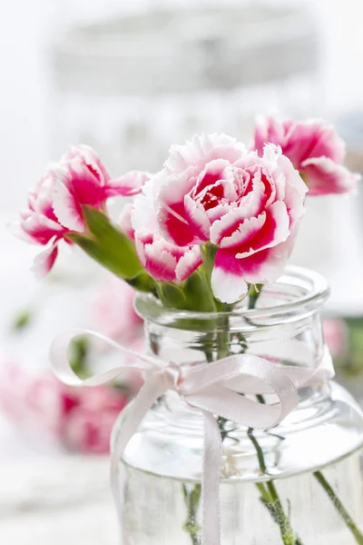 Pink carnation flower in glass vase — Stock Photo, Image