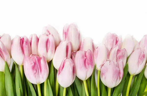 Beautiful pink and white tulips on wooden background. Copy space — Stock Photo, Image