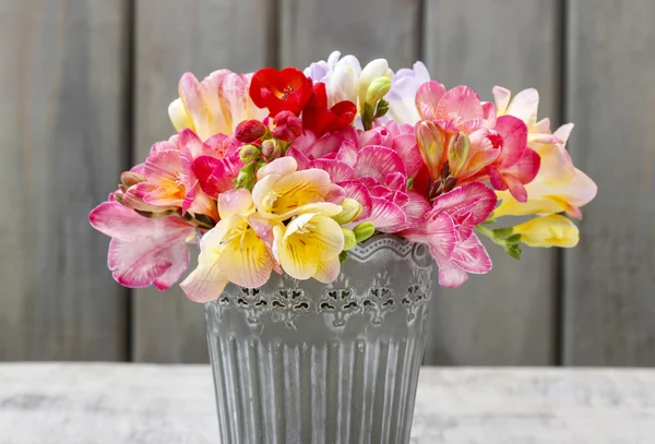 Ramillete de flores de freesia coloridas en cubo de plata — Foto de Stock