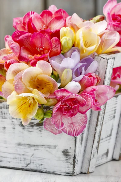 Ramillete de flores de freesia coloridas en caja elegante de madera shabby —  Fotos de Stock