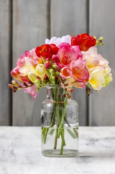 Boeket van kleurrijke fresia's bloemen in transparante glazen vaas. — Stockfoto