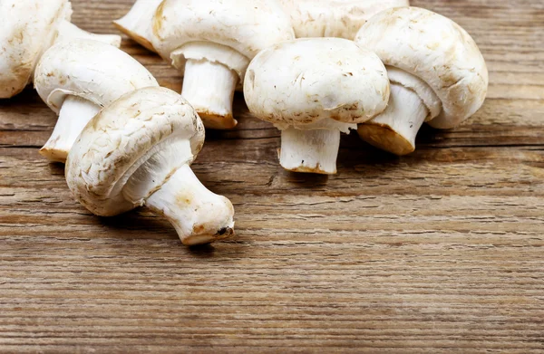 Top view of agaricus mushroom on wooden table. Copy space, blank — Stock Photo, Image