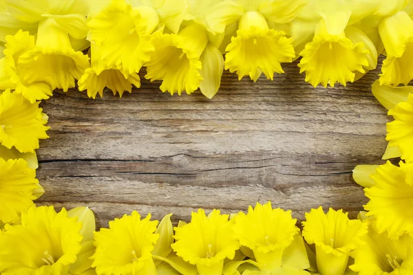 Beautiful yellow daffodils on brown wooden board. Copy space — Stock Photo, Image