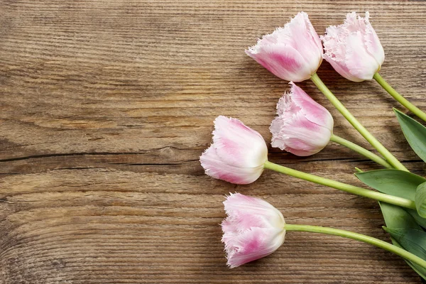 Krásné růžové a bílé tulipány na dřevěné pozadí. Kopírovat prostor — Stock fotografie