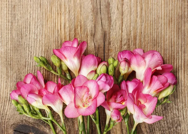 Flores de freesia rosa sobre fondo de madera. Copiar espacio — Foto de Stock