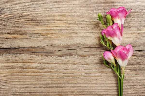 Rosafarbene Freesia-Blüten auf Holzgrund. Kopierraum — Stockfoto