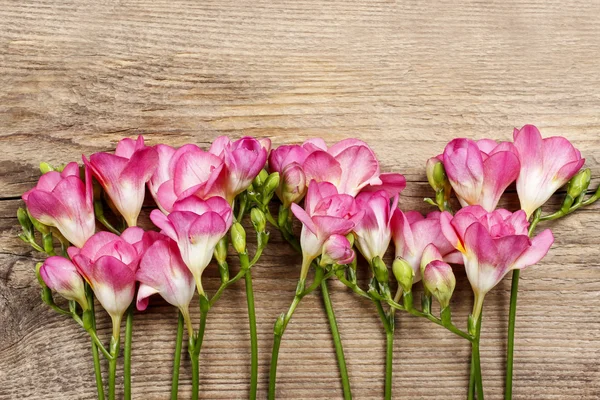 Rosafarbene Freesia-Blüten auf Holzgrund. Kopierraum — Stockfoto