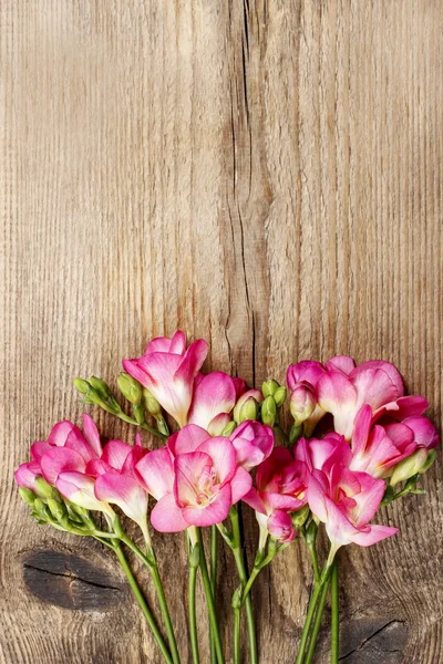 Rosafarbene Freesia-Blüten auf Holzgrund. Kopierraum — Stockfoto