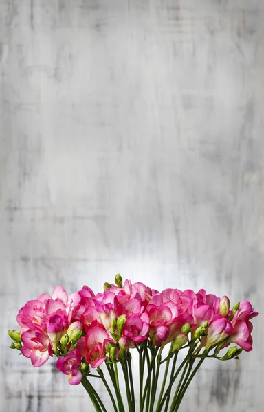 Rosafarbene Freesia-Blüten auf Holzgrund. Kopierraum — Stockfoto