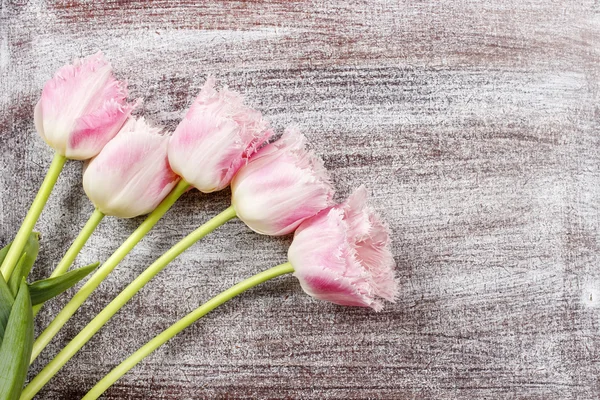Růžové tulipány na dřevěné pozadí. Kopírovat prostor — Stock fotografie