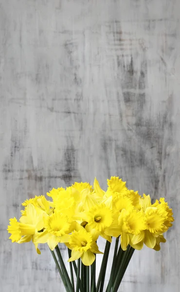 Ramo de narcisos amarillos sobre fondo gris. Copiar espacio — Foto de Stock