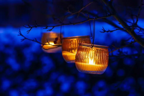 Lanterna laranja pendurada em um ramo — Fotografia de Stock