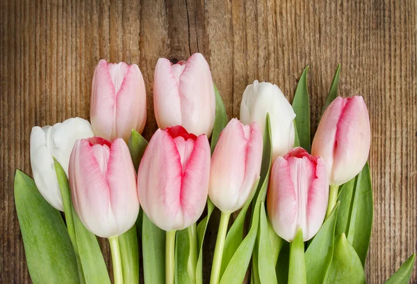 Schöne rosa und weiße Tulpen auf Holzgrund. — Stockfoto