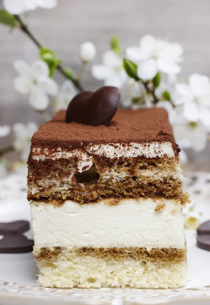 Tiramisu cake on white plate. Blossom apple branch in the backgr — Stock Photo, Image