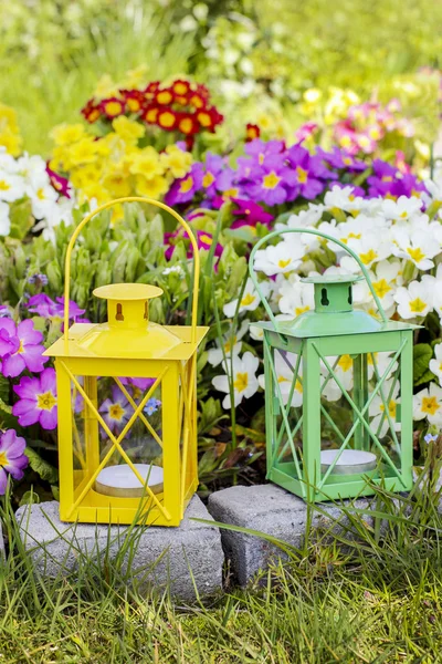 Kleurrijke primula bloemen en lantaarns in lentetuin — Stockfoto