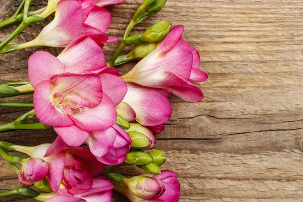 Rosafarbene Freesia-Blüten auf Holzgrund. Kopierraum — Stockfoto