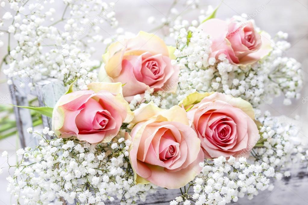 Belles Roses Roses Et Gypsophila Fleurs Haleine De Bebe Mercredi Image Libre De Droit Par Agneskantaruk C Belles Roses Roses Et Gypsophila Fleurs Haleine De Bebe Mercredi Image Libre De Droit Par Agneskantaruk C