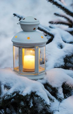 köknar dalı ormanda beyaz fener ayakta. güzel kış