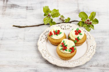 güzel gül cupcake ve çiçek açan elma ağacı backg dal