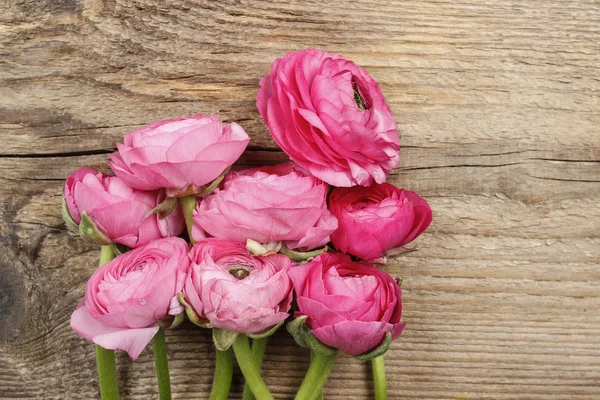 Розовый персидский цветок лютик (ranunculus) на деревянном фоне . — стоковое фото