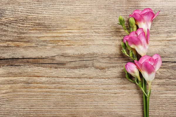 Flores freesia rosa no fundo de madeira. Espaço de cópia — Fotografia de Stock