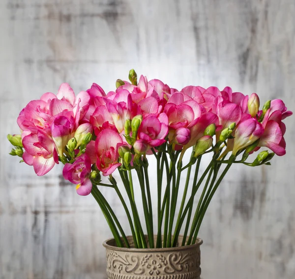 Rosafarbene Freesia-Blüten auf Holzgrund. Kopierraum — Stockfoto