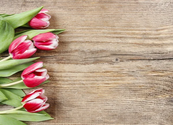 Ramo de tulipanes rojos y blancos sobre fondo de madera. Copiar espacio —  Fotos de Stock