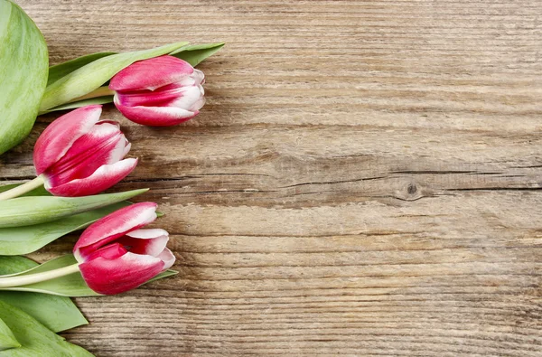 Strauß roter und weißer Tulpen auf hölzernem Hintergrund. Kopierraum — Stockfoto