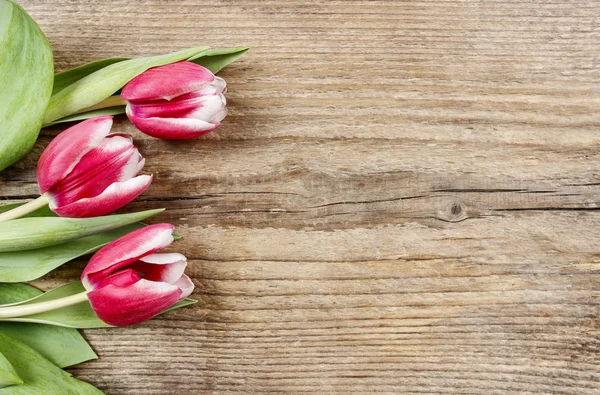 Bouquet de tulipes rouges et blanches sur fond bois. Espace de copie — Photo