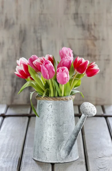 Букет розовых и красных тюльпанов в банке для полива серебра — стоковое фото