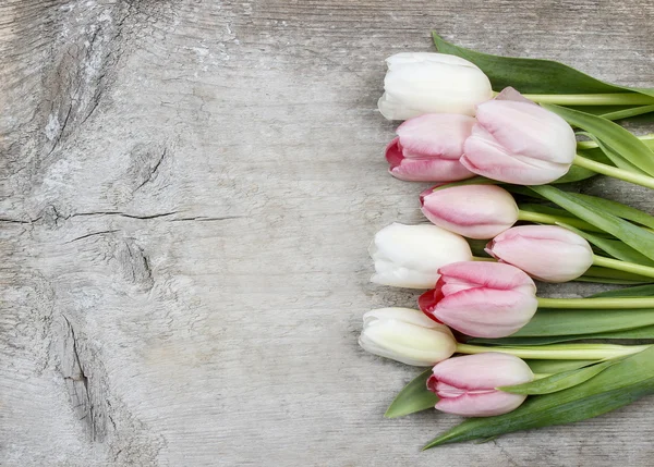 Beautiful pink and white tulips on wooden background. Copy space — Stock Photo, Image