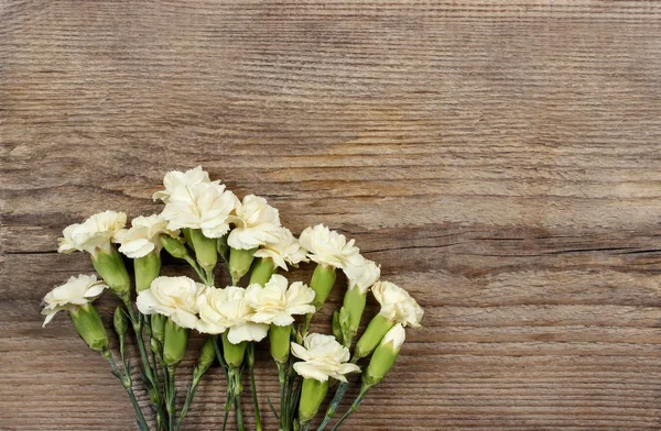 Yellow carnation flowers isolated on brown wooden background. Co — Stock Photo, Image
