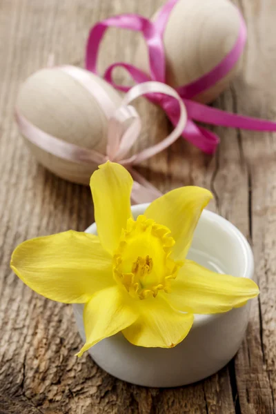 Single daffodil flower and easter eggs in the background — Stock Photo, Image