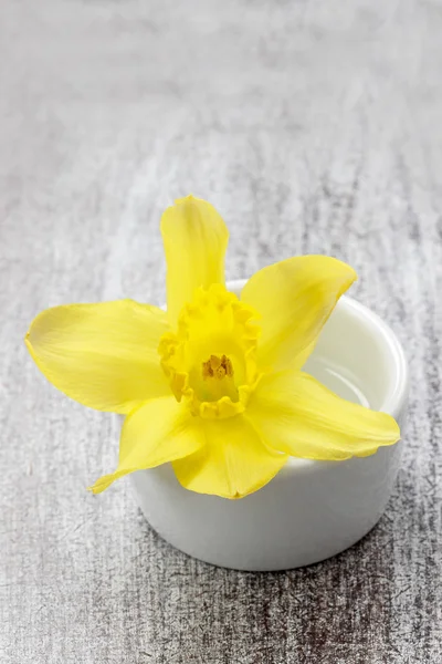 Flor de narciso único em vaso de cerâmica branca no fundo de madeira — Fotografia de Stock