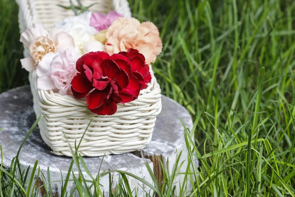 Beautiful carnation flowers in a white wicker basket — Stock Photo, Image