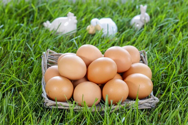 Mandje met eitjes permanent op verse gras — Stockfoto