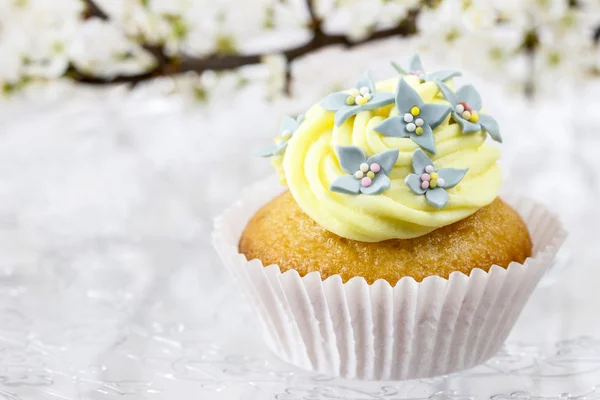 Όμορφη edelweiss cupcake — Φωτογραφία Αρχείου