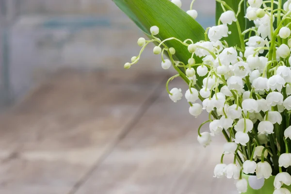 Bouquet of lily of the valley flowers — Stock Photo, Image