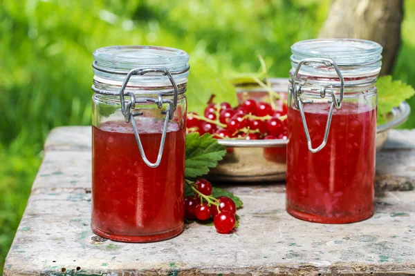 Röda vinbär gelé bevara glas — Stockfoto