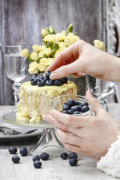 Vit och mörk choklad lager tårta dekorerad med blåbär — Stockfoto