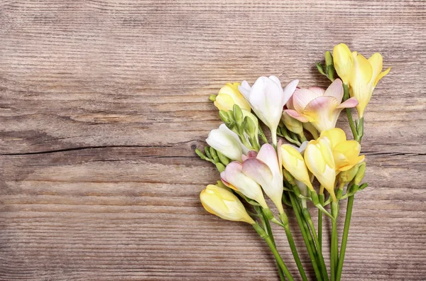 Bunte Freesia-Blumen auf Holzgrund — Stockfoto
